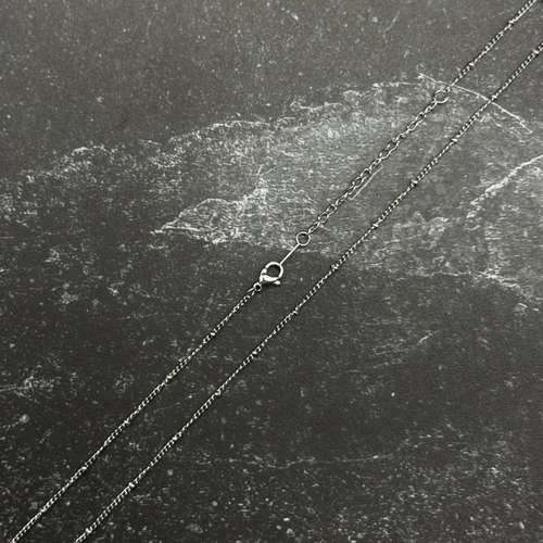 Stainless steel chain with lobster clasp.