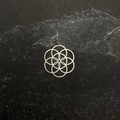 Stainless steel seed of life pendant on stone surface. 