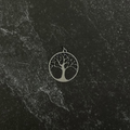 Tree of life pendant on black stone.