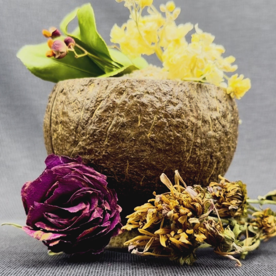 Geometric earrings on coconut bowel with floral arrangement. 