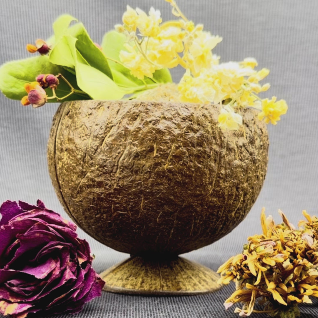 Geometric earrings on coconut bowel with floral arrangement. 